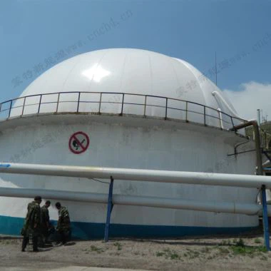 Tóic Stórála Bíogas Dhéagáin Barr Díon